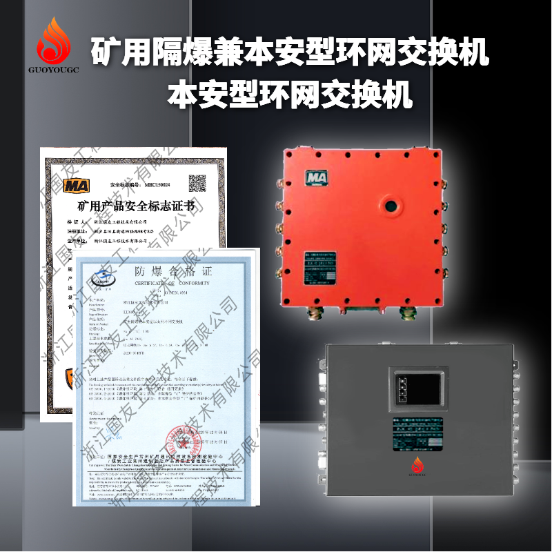 矿用数字环网交换机-万兆环网