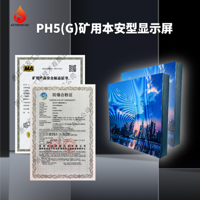 PH5（G）矿用本安型显示屏